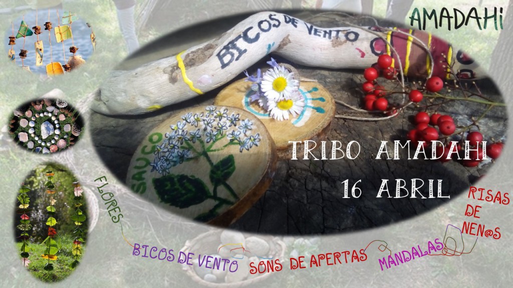 TRIBU 16