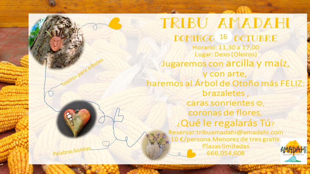 tribu-161016