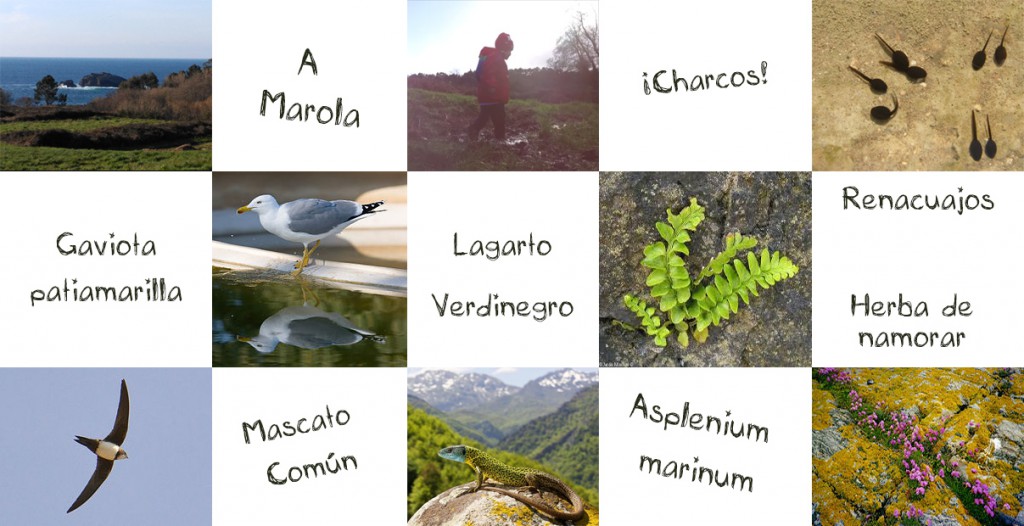 composición