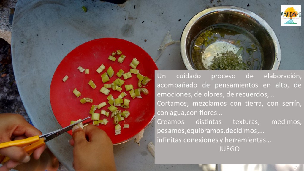 Diapositiva4