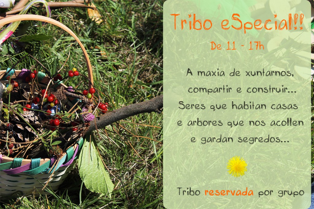 TribuSemente
