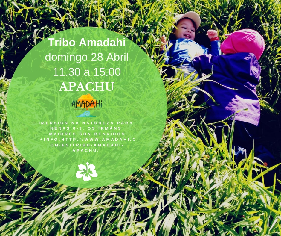 cartel tribu amadahi apachu